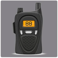 Online Walkie Talkie Pro