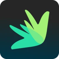 Build & Fix Credit - Dovly AI