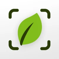 Plant Identifier & Care: Ficus
