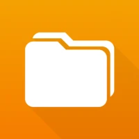 Gestor de Archivos Simple Pro